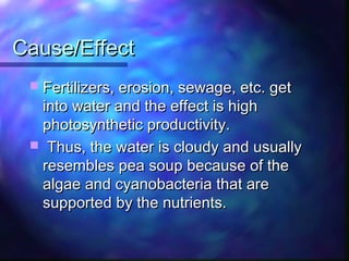 Cause/EffectCause/Effect
 Fertilizers, erosion, sewage, etc. getFertilizers, erosion, sewage, etc. get
into water and the effect is highinto water and the effect is high
photosynthetic productivity.photosynthetic productivity.
 Thus, the water is cloudy and usuallyThus, the water is cloudy and usually
resembles pea soup because of theresembles pea soup because of the
algae and cyanobacteria that arealgae and cyanobacteria that are
supported by the nutrients.supported by the nutrients.
 
