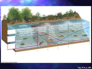 Fig. 21-4, p. 497
8 ppm
Biological
oxygen
demand
Dissolved
oxygen
(ppm)
Types of
organisms
8 ppm
Recovery
ZoneSeptic
ZoneDecomposition
ZoneClean Zone
Fish
absent,
fungi,
sludge
worms,
bacteria
(anaerobic)
Trash fish
(carp, gar,
leeches)
Clean Normal clean
water organisms
(Trout, perch, bass,
mayfly, stonefly)
Normal clean water
organisms
(Trout, perch, bass,
mayfly, stonefly)
Clean Zone
Trash fish
(carp, gar,
leeches)
 