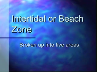 Intertidal or BeachIntertidal or Beach
ZoneZone
Broken up into five areasBroken up into five areas
 