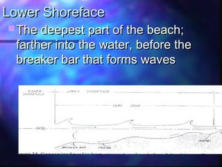 Lower ShorefaceLower Shoreface
 The deepest part of the beach;The deepest part of the beach;
farther into the water, before thefarther into the water, before the
breaker bar that forms wavesbreaker bar that forms waves
 