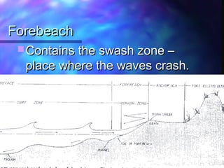 ForebeachForebeach
 Contains the swash zone –Contains the swash zone –
place where the waves crash.place where the waves crash.
 