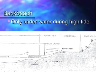 BackbeachBackbeach
Only under water during high tideOnly under water during high tide
 