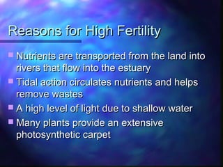 Reasons for High FertilityReasons for High Fertility
 Nutrients are transported from the land intoNutrients are transported from the land into
rivers that flow into the estuaryrivers that flow into the estuary
 Tidal action circulates nutrients and helpsTidal action circulates nutrients and helps
remove wastesremove wastes
 A high level of light due to shallow waterA high level of light due to shallow water
 Many plants provide an extensiveMany plants provide an extensive
photosynthetic carpetphotosynthetic carpet
 