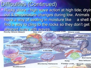 Difficulties (Continued)Difficulties (Continued)
 Rocky shore – highRocky shore – high wave action at high tide; dryinwave action at high tide; dryin
out & temperature changes during low. Animalsout & temperature changes during low. Animals
have a way of sealing in moisture like a shell &have a way of sealing in moisture like a shell &
find a way to cling to the rocks so they don’t getfind a way to cling to the rocks so they don’t get
washed away with waves.washed away with waves.
 