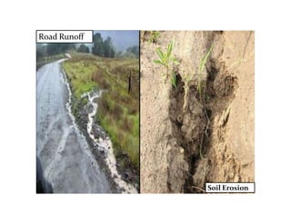 Road Runoff
Soil Erosion
 