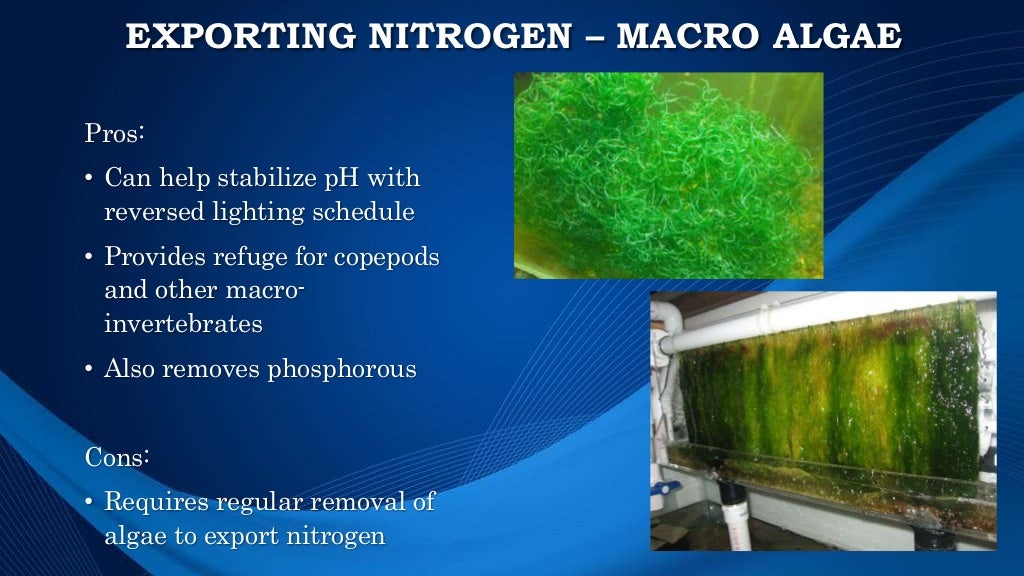 Water quality presentation with notes