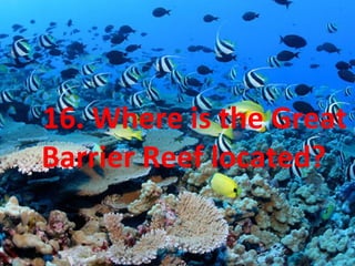 16. Where is the Great
Barrier Reef located?