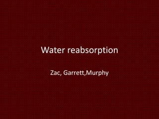 Water reabsorption
Zac, Garrett,Murphy
 