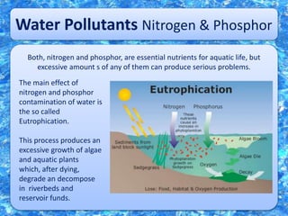 Water Pollutants Nitrogen & Phosphor
Both, nitrogen and phosphor, are essential nutrients for aquatic life, but
excessive amount s of any of them can produce serious problems.
The main effect of
nitrogen and phosphor
contamination of water is
the so called
Eutrophication.
This process produces an
excessive growth of algae
and aquatic plants
which, after dying,
degrade an decompose
in riverbeds and
reservoir funds.
 