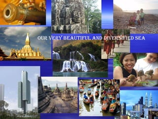 Our very beautiful and diversified SEA 