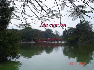 Xin cảm ơn 