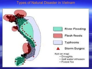 Types of Natural Disaster in Vietnam 