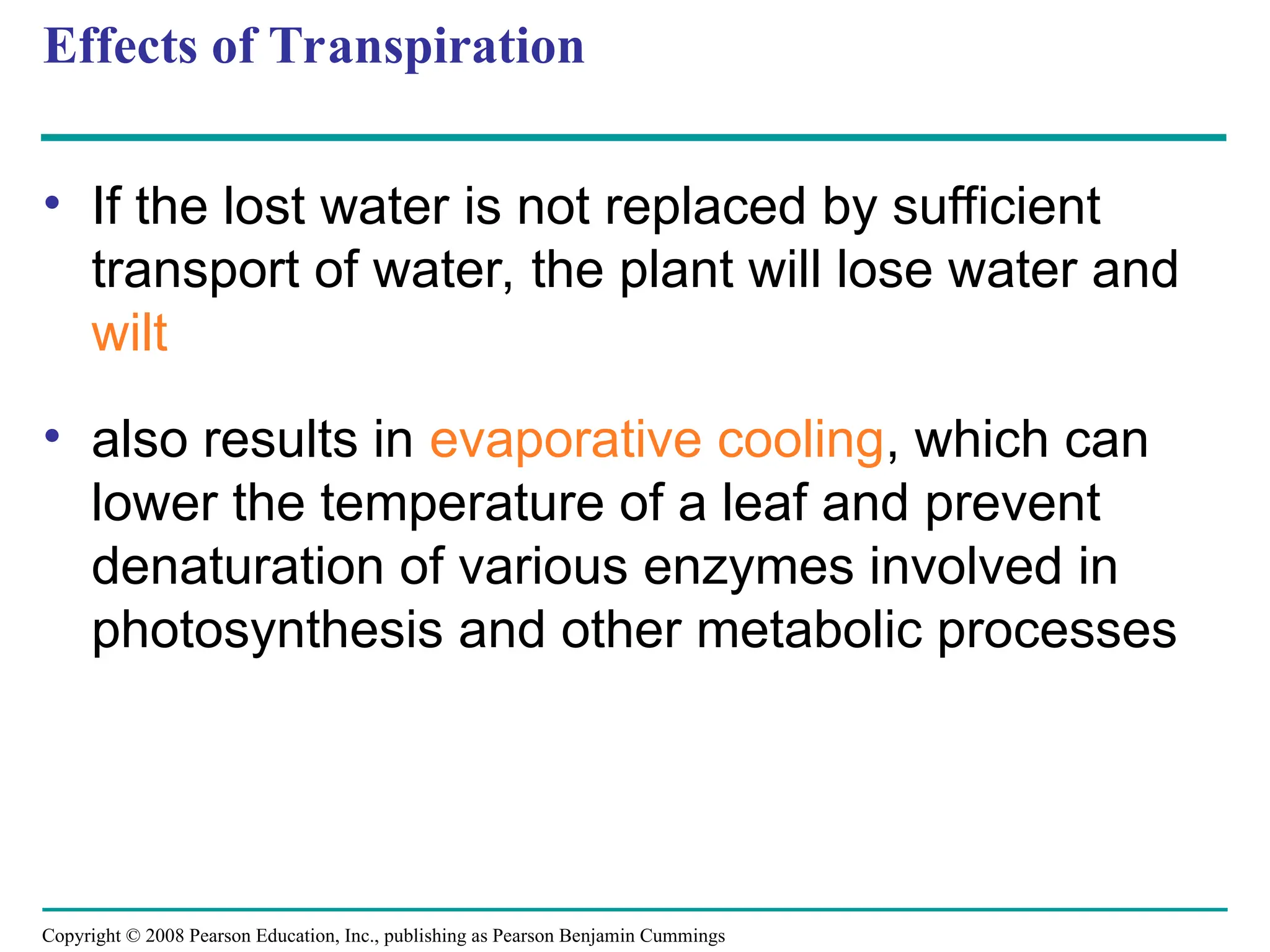 Copyright © 2008 Pearson Education, Inc., publishing as Pearson Benjamin Cummings
Effects of Transpiration
• If the lost water is not replaced by sufficient
transport of water, the plant will lose water and
wilt
• also results in evaporative cooling, which can
lower the temperature of a leaf and prevent
denaturation of various enzymes involved in
photosynthesis and other metabolic processes
 
