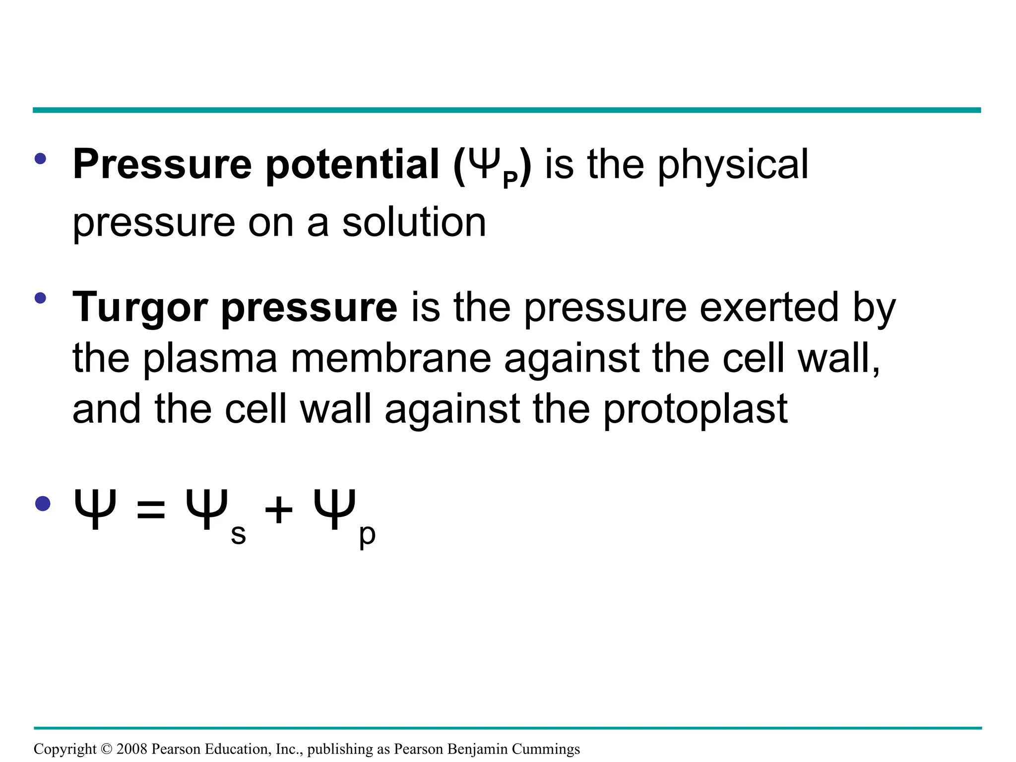 Copyright © 2008 Pearson Education, Inc., publishing as Pearson Benjamin Cummings
• Pressure potential (ΨP) is the physical
pressure on a solution
• Turgor pressure is the pressure exerted by
the plasma membrane against the cell wall,
and the cell wall against the protoplast
• Ψ = Ψs + Ψp
 