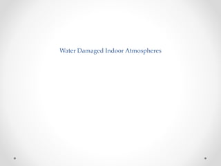 Water Damaged Indoor Atmospheres
 
