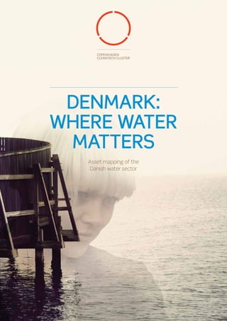 DENMARK:
WHERE WATER
MATTERS
Asset mapping of the
Danish water sector
 