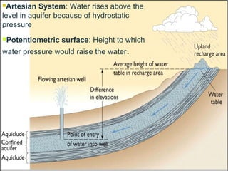 Artesian System: Water rises above the
level in aquifer because of hydrostatic
pressure
Potentiometric surface: Height to which
water pressure would raise the water.
 