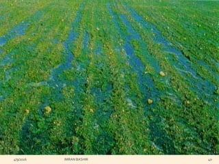 4/9/2016 IMRAN BASHIR 40
 