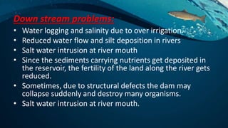 Down stream problems:
• Water logging and salinity due to over irrigation.
• Reduced water flow and silt deposition in rivers
• Salt water intrusion at river mouth
• Since the sediments carrying nutrients get deposited in
the reservoir, the fertility of the land along the river gets
reduced.
• Sometimes, due to structural defects the dam may
collapse suddenly and destroy many organisms.
• Salt water intrusion at river mouth.
 