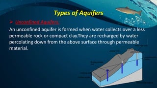 Types of Aquifers
 Unconfined Aquifers:
An unconfined aquifer is formed when water collects over a less
permeable rock or compact clay.They are recharged by water
percolating down from the above surface through permeable
material.
 
