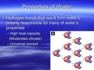 Properties of Water
 Hydrogen bonds that result from water’s
polarity responsible for many of water’s
properties
– High heat capacity
(Moderates climate)
– Universal solvent
 