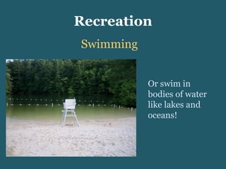 Recreation Swimming Or swim in bodies of water like lakes and oceans! 