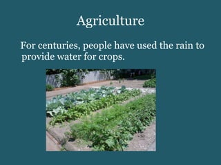 Agriculture For centuries, people have used the rain to provide water for crops. 