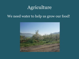 Agriculture We need water to help us grow our food! 