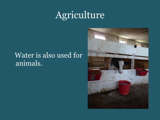 Agriculture Water is also used for animals. 