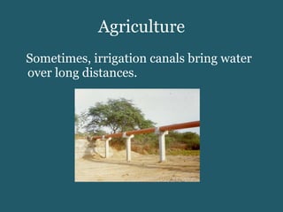 Agriculture Sometimes, irrigation canals bring water over long distances. 