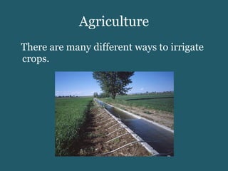 Agriculture There are many different ways to irrigate crops. 