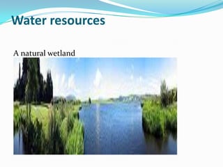 Water resources

A natural wetland
 