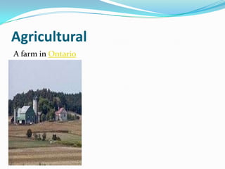 Agricultural
A farm in Ontario
 