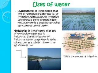 Uses of water
    Agricultural: It is estimated that
    69% of worldwide water use is for
    irrigation, with 15-35% of irrigation
    withdrawals being unsustainable.
    Aquaculture is a small but growing
    agricultural use of water.

•Industrial: It is estimated that 15%
of worldwide water use is
industrial. The distribution of
industrial water usage that is varies
widely, but as a whole is lower than
agricultural use.



                                            This is the process of irrigation
 