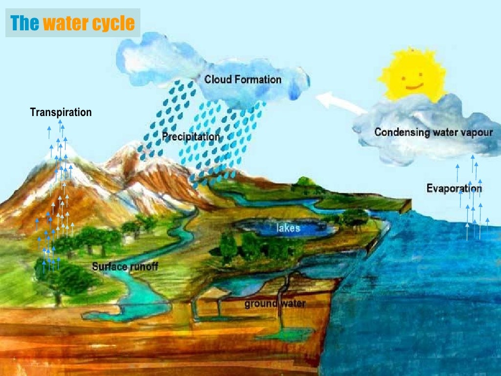 Water Resources