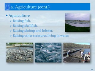 a. Agriculture (cont.)

 Aquaculture
   Raising fish.
   Raising shellfish.
   Raising shrimp and lobster.
   Raising other creatures living in water.




                                               24
 