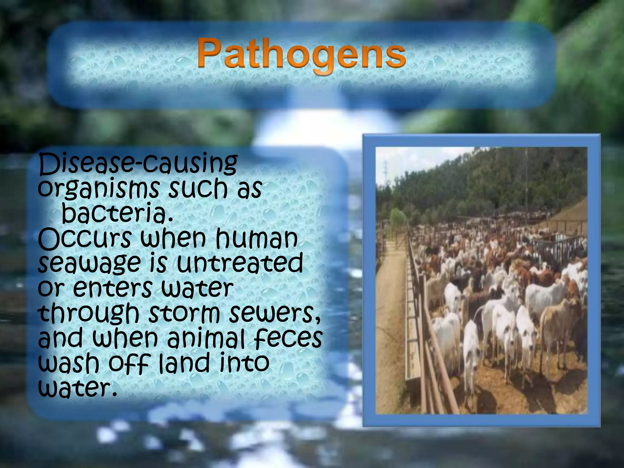 Disease-causing
organisms such as
bacteria.
Occurs when human
seawage is untreated
or enters water
through storm sewers,
and when animal feces
wash off land into
water.
 