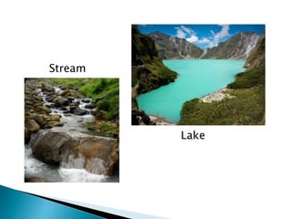 Stream 
Lake 
 