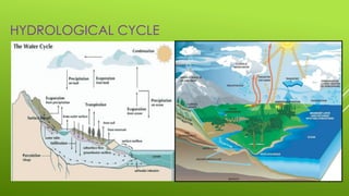 HYDROLOGICAL CYCLE
 