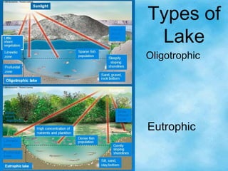 Types of
Lake
Oligotrophic
Eutrophic
 