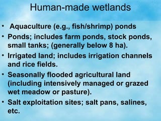 Human-made wetlands
• Aquaculture (e.g., fish/shrimp) ponds
• Ponds; includes farm ponds, stock ponds,
small tanks; (generally below 8 ha).
• Irrigated land; includes irrigation channels
and rice fields.
• Seasonally flooded agricultural land
(including intensively managed or grazed
wet meadow or pasture).
• Salt exploitation sites; salt pans, salines,
etc.
 