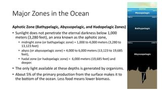 Major Zones in the Ocean
Aphotic Zone (Bathypelagic, Abyssopelagic, and Hadopelagic Zones)
• Sunlight does not penetrate the eternal darkness below 1,000
meters (3,280 feet), an area known as the aphotic zone,
• midnight zone (or bathypelagic zone) = 1,000 to 4,000 meters (3,280 to
13,123 feet)
• abyss (or abyssopelagic zone) = 4,000 to 6,000 meters (13,123 to 19,685
feet),
• hadal zone (or hadopelagic zone) = 6,000 meters (19,685 feet) and
deeper.
• The only light available at these depths is generated by organisms.
• About 5% of the primary production from the surface makes it to
the bottom of the ocean. Less food means lower biomass.
 