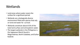Wetlands
• Land areas where water covers the
surface for a significant period
• Wetlands are a biologically diverse
environment filled with species that rely
on land and water for survival.
• Wetlands constitute about 8.5% of the
total land surface and atmospheric water.
• The largest wetlands in the Philippines is
the Ligawasan Marsh found in
Maguindanao, North Cotabato, and Sultan
Kudarat.
 