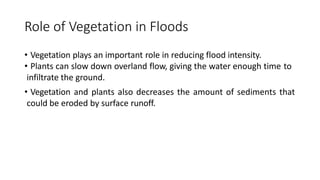 Role of Vegetation in Floods
• Vegetation plays an important role in reducing flood intensity.
• Plants can slow down overland flow, giving the water enough time to
infiltrate the ground.
• Vegetation and plants also decreases the amount of sediments that
could be eroded by surface runoff.
 