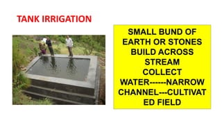 TANK IRRIGATION
SMALL BUND OF
EARTH OR STONES
BUILD ACROSS
STREAM
COLLECT
WATER------NARROW
CHANNEL---CULTIVAT
ED FIELD
 