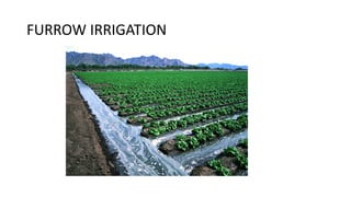 FURROW IRRIGATION
 
