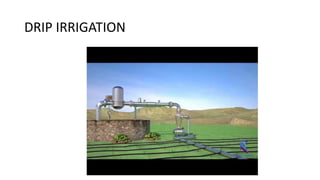 DRIP IRRIGATION
 