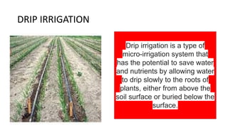 DRIP IRRIGATION
Drip irrigation is a type of
micro-irrigation system that
has the potential to save water
and nutrients by allowing water
to drip slowly to the roots of
plants, either from above the
soil surface or buried below the
surface.
 