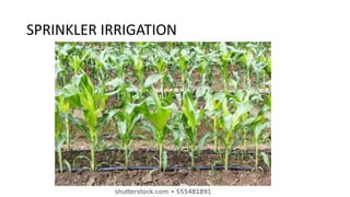 SPRINKLER IRRIGATION
 