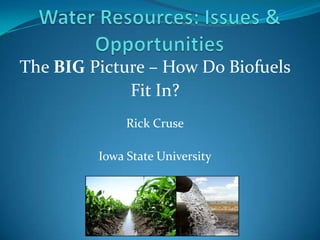 The BIG Picture – How Do Biofuels
             Fit In?
              Rick Cruse

         Iowa State University
 